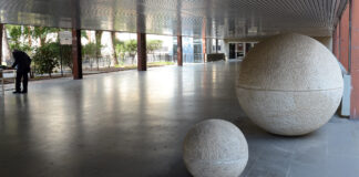 Politecnico da record