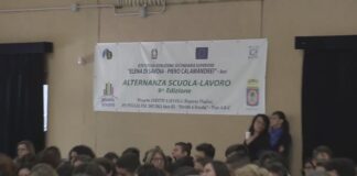 Tra scuola e lavoro alternanza – orientamento e collocamento