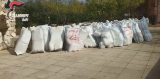 Traffico internazionale di armi e droga
