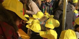 Olio: a Bari giornata dell’extravergine