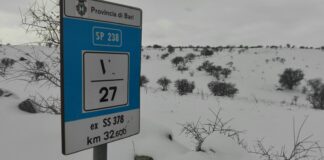 Sp238 neve, disagi e danni: un tour nella murgia a nord di Bari