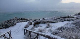 Emergenza Neve, Coldiretti: «Un disastro nelle campagne»