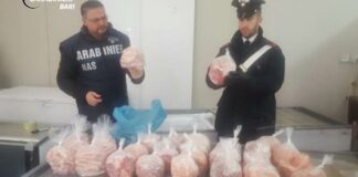 Maxi sequestro di carne e pesce scaduti per 50mila euro
