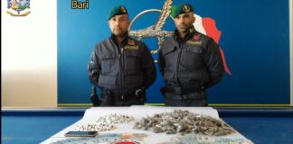 Un palazzo “centrale dello spaccio”: blitz tra le case popolari