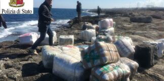 Trafficanti bloccati a Monopoli: sequestrati 500 kg di marijuana