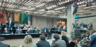 Legge sulla Xylella, il Consiglio Regionale approva modifiche UE
