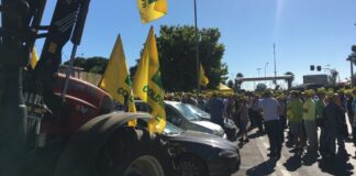 Grano estero, a Bari 1600 camion per svuotare nave canadese