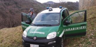 Lotta al bracconaggio: sequestrate armi e richiami acustici nel sud-barese
