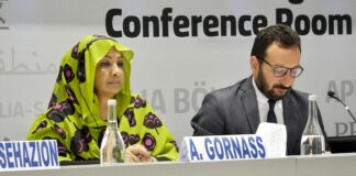 Meeting Africa, la grande opportunità del futuro