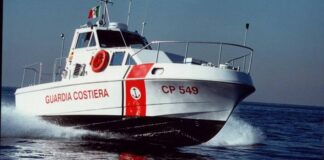 Oltre 500 chili di prodotti ittici sequestrati a Torre a Mare