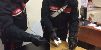 Sorpreso all’interno della cripta del Santo Patrono mentre rubava dalle cassette delle offerte