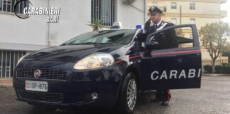 Topi d’appartamento colti con le mani nel sacco: due arresti