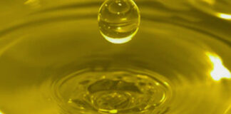 La guerra dell’olio: «Stop all’import dalla Tunisia»