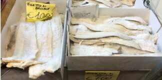 Controlli alla “Sagra del Fungo Cardoncello”: sequestrati 200 kg di prodotti alimentari