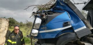 Vento troppo forte, albero precipita su camion: ferito autista