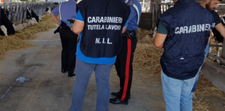 Pastore sfruttato in masseria per 1,80 euro all’ora: arrestato 46enne