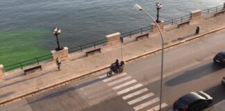 Il mare di Bari diventa “fluo”: scoperti sversamenti di un cantiere