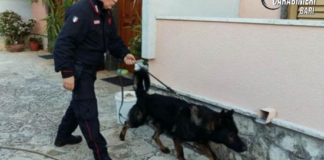 Scoperto bunker della droga: arrestata famiglia di pusher