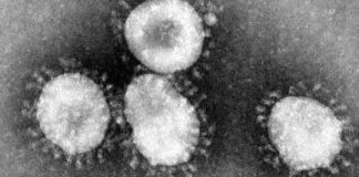 Coronavirus: 82 nuovi casi in Puglia, 6 i morti
