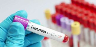 Coronavirus: solo 11 nuovi casi positivi in Puglia e 2 decessi