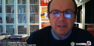 Pallavolo, Piscopo su sospensione campionati: «Scelta inevitabile»