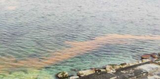 Chiazze arancioni in mare, la fioritura di un tipo di alga rossa