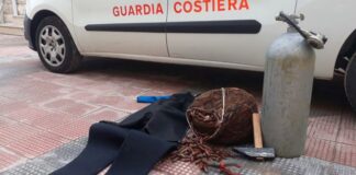 Sequestrati a Molfetta oltre 17 kg di datteri di mare