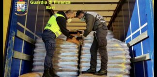 Sequestrate 57 tonnellate di pellet trasportati in due camion: 4 denunce