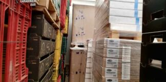 Carabinieri trovano refurtiva in una masseria di Adelfia: 2 denunce per ricettazione