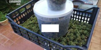 Armi, munizioni e droga a Bitonto: 2 arresti e una denuncia