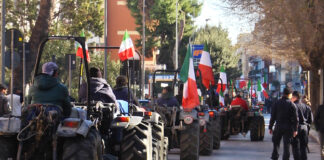 Dl Milleproroghe, ecco gli sgravi irpef per gli agricoltori dopo le proteste