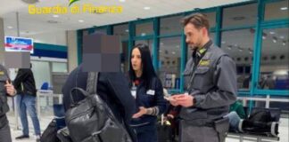 Aeroporto, sequestrati 6 cuccioli da compagnia con passaporti falsi