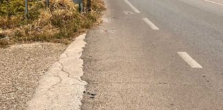 Ciclista travolto e ucciso tra Rutigliano e Conversano: a processo 44enne di Capurso