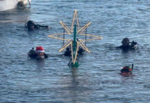 “Christmas Dive”, l’accensione del primo Albero di Natale subacqueo