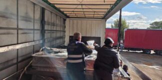 Sequestro d’olio a Bari, il Ministro Lollobrigida: «Ringrazio ICQRF, Guardia di finanza e Dogane»