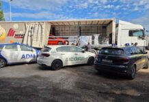 Al porto di Bari sequestrate oltre 3 tonnellate di olio extravergine d’oliva