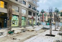 Via Argiro, cominciati gli interventi di piantumazione delle alberature