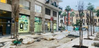 Via Argiro, cominciati gli interventi di piantumazione delle alberature