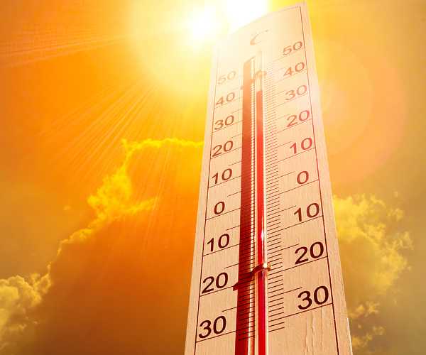 caldo