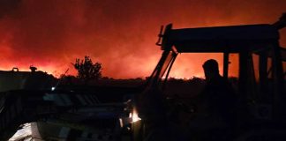 Brucia il cuore dell’Alta Murgia: ettari di vegetazione in fiamme tra Altamura e Toritto