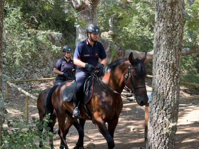 carabinieri cavallo