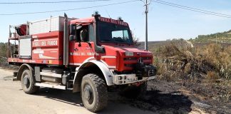 Incendio nel Parco dell’Alta Murgia: danni incalcolabili alla vegetazione
