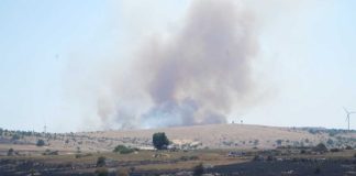 Cosa resta dopo gli incendi in Puglia, l’avvertimento dei geologi
