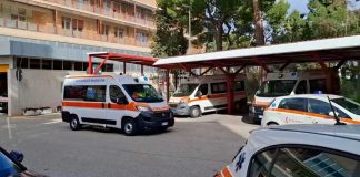 Neonata salvata da un trapianto: scoperta malattia rara grazie a diagnosi precoce