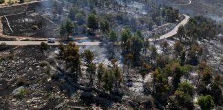 3376 incendi in Puglia durante l’estate: 1000 in più rispetto al 2025