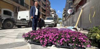 Riqualificazione di via Manzoni: continuano le piantumazioni