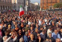 Crisi dell’olio in Puglia: migliaia in piazza a Bari