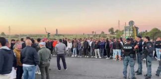 La protesta degli olivicoltori scende in strada a Bitonto: in 300 bloccano la provinciale