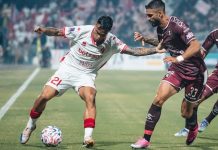 Serie C, il Bari conduce per 80 minuti poi la Salernitana la ribalta e vince 2-1
