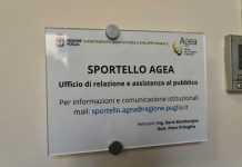 30 milioni di euro per la rigenerazione dell’olivicoltura pugliese